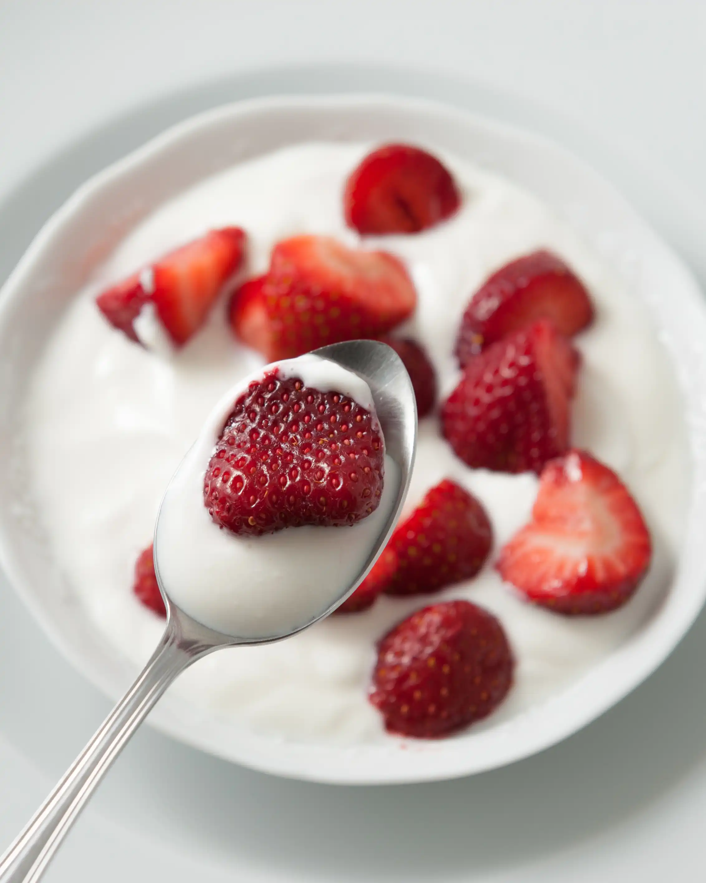 Fresh Dairy Products