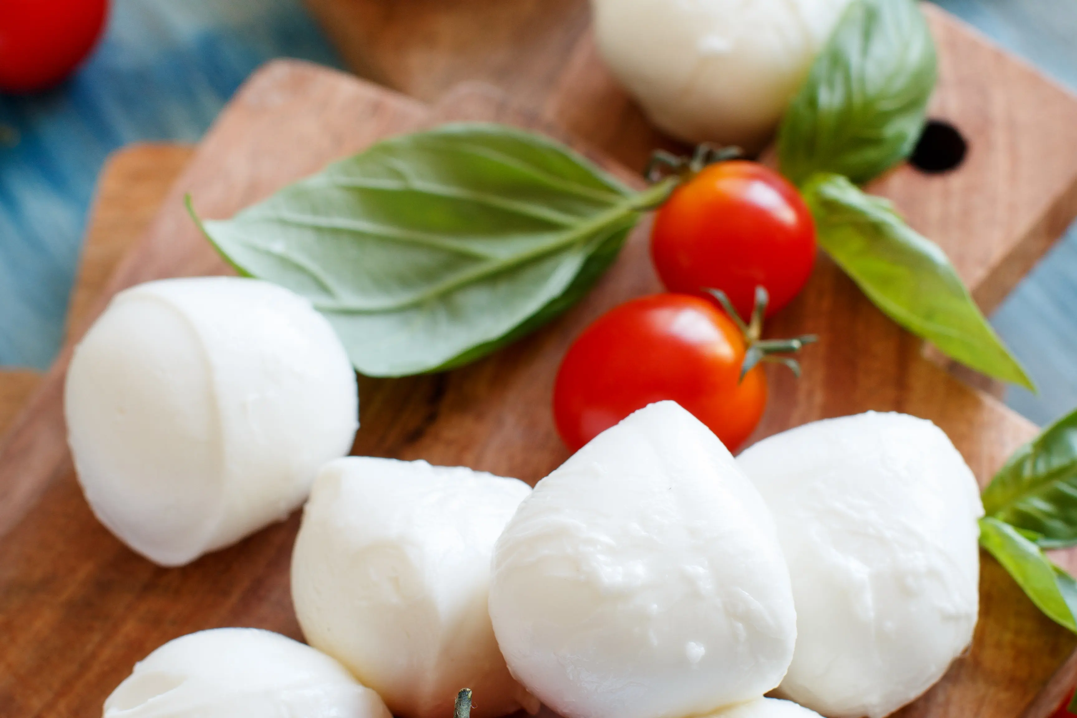 Pasta Filata / Mozzarella