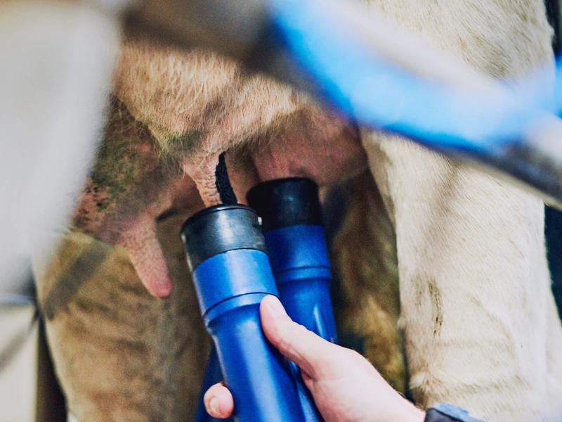 Hygiene & ATP Monitoring