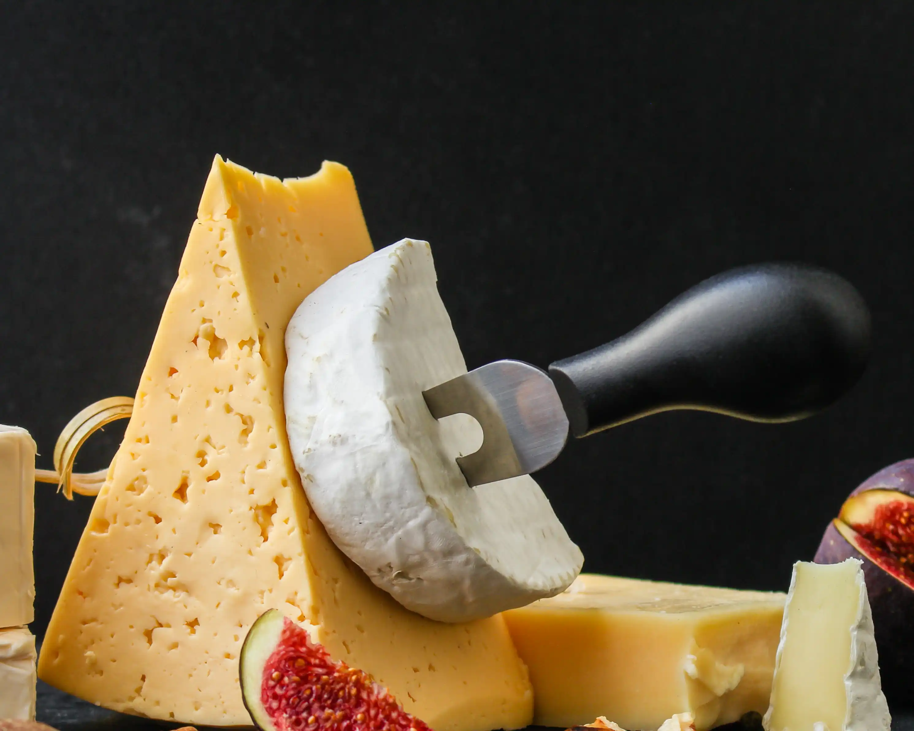 Dairy & Food Enzymes